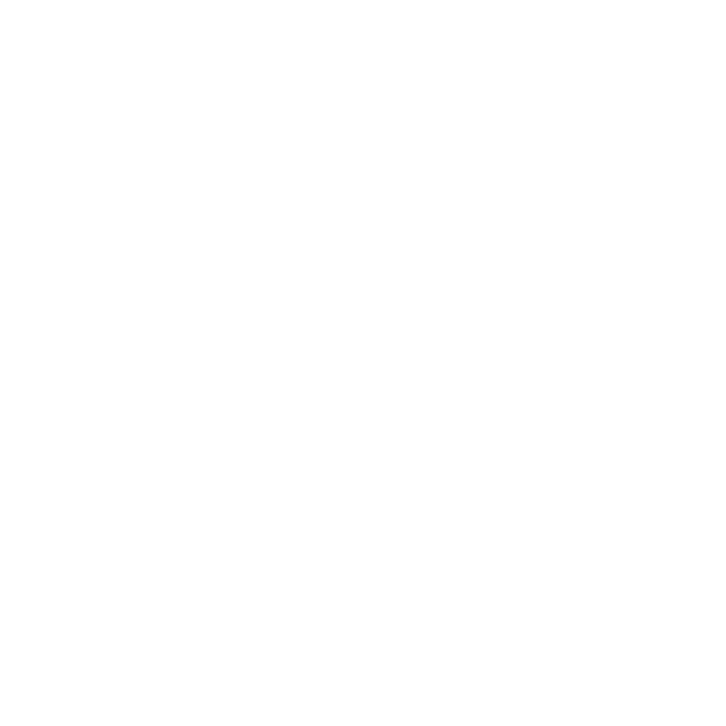 Speakwow Logo
